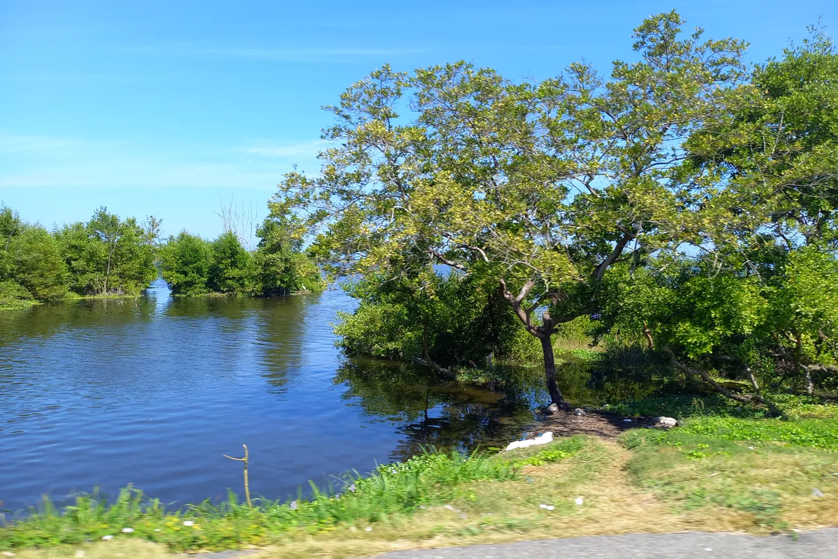 Municipio de Ciénaga, Magdalena